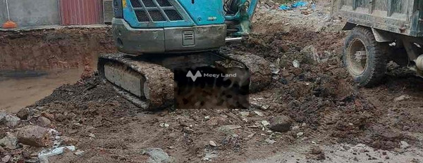 3.2 tỷ bán đất có diện tích quy ước 50m2 vị trí đặt ngay Thanh Trì, Hà Nội-02