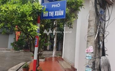Giá 2.16 tỷ bán đất diện tích là 72m2 vị trí thuận lợi ngay tại Bùi Thị Xuân, Nam Định, hướng Tây Nam-03