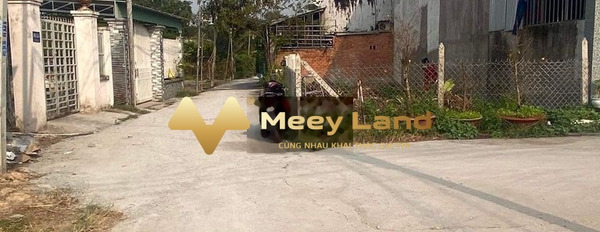 Cắt lỗ bán mảnh đất, 95m2 giá bán mua liền từ 1.42 tỷ vị trí đẹp gần Nguyễn Chí Thanh, Tân An lh biết chi tiết-03