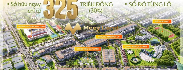 Mặt tiền nằm ngay ở Tư Nghĩa, Quảng Ngãi bán đất diện tích khoảng 115 m2-03