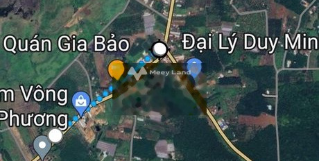 Ra nhanh lô Ấp Thanh sơn xã Thanh An huyện Hơn Quán tỉnh Bình Phước -03