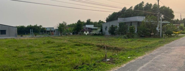 Chuyển nhượng lô đất sổ riêng 200m2 tại xã Nhơn Hoà, Tân Thạnh, Long An, giá 5,8 tỷ-02