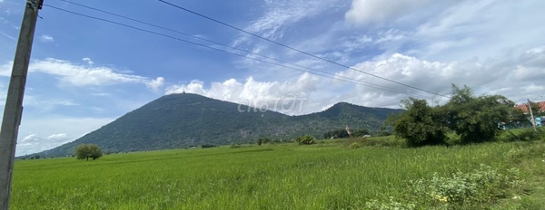Trần Phú, Tây Ninh 650 triệu bán đất diện tích chung 300m2-03
