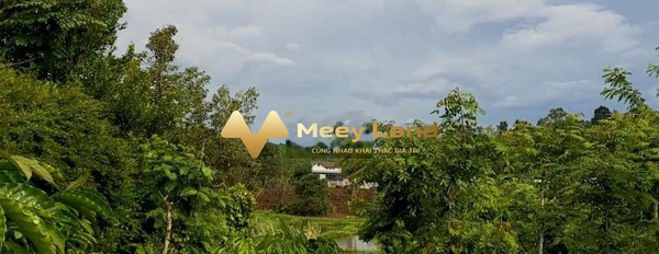 Gần Đắk Mil, Đắk Nông bán đất giá thương lượng chỉ 650 triệu có diện tích chuẩn 1300 m2-03