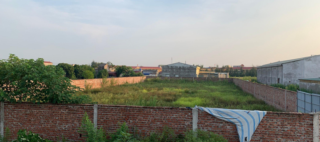 Bán đất tại đường Nguyễn Văn Năng, thị trấn Đông Hưng, Thái Bình. Diện tích 102m2, giá thương lượng