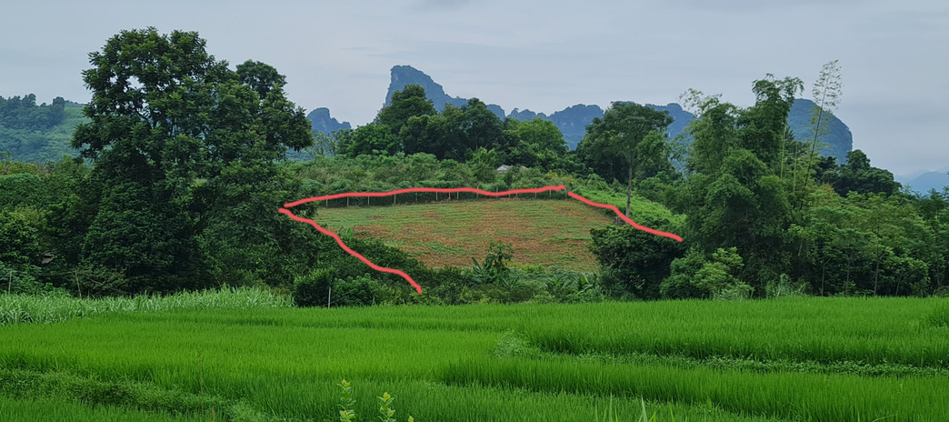 Bán đất tại Chằng Trong, Hợp Phong, Cao Phong, Hòa Bình. Diện tích 4000m2, giá 800 triệu