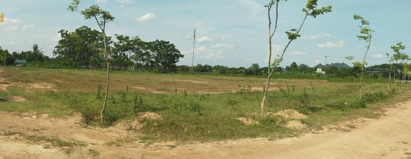 Bán 21385m2 đất full thổ cư xã Nhuận Trạch, Lương Sơn, chia lô, xây nghỉ dưỡng, hàng xóm Legacy Hill-03