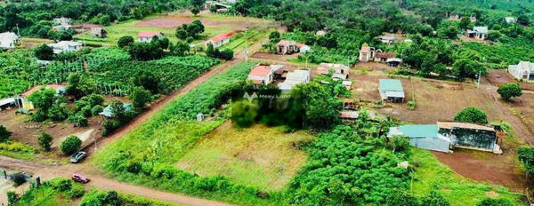 Khoảng 275 triệu bán đất diện tích thực 1000m2 vị trí thuận lợi nằm trên Tân Phước Khánh, Bình Dương-03