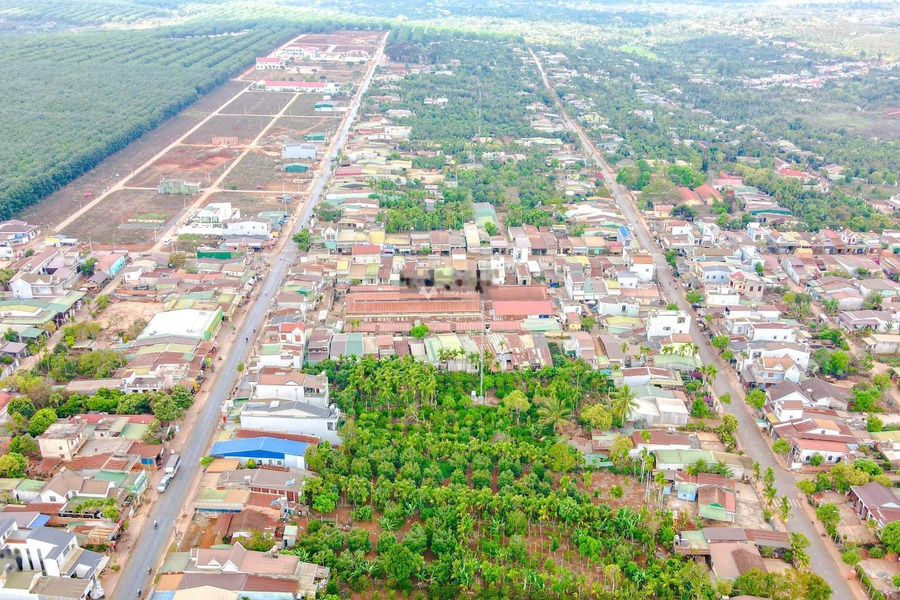 Tân An, Đắk Lắk bán đất diện tích chung 132m2-01