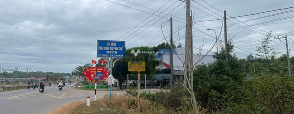 Bán đất diện tích mặt tiền 90m2 vị trí thuận tiện Hàm Tân, Bình Thuận-03