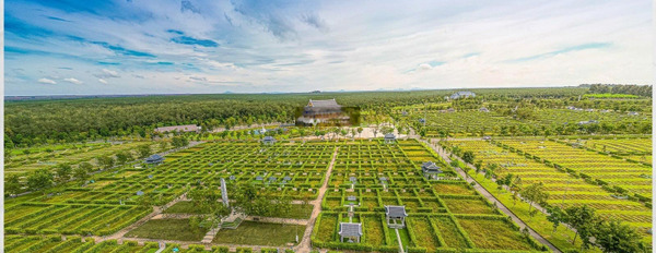 Tại Sala Garden 1.3 tỷ bán đất có diện tích quy ước 48m2 vị trí thuận lợi gần Tân Hiệp, Long Thành-03
