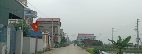 Chính chủ bán 120m2 đất giãn dân xã Tri Trung, huyện Phú Xuyê,n cạnh khu đất đấu giá Đồng Mèo-02
