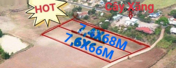 Ở Sơn Hòa, Phú Yên bán đất 266 triệu Diện tích đất 500m2-03