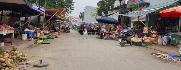 Giá bán đặc biệt chỉ 3.55 tỷ bán đất có diện tích trung bình 100m2 vị trí mặt tiền ở Nguyễn Tất Thành, Vĩnh Phúc, hướng Đông Nam-02