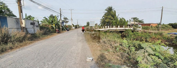 Bán đất vị trí mặt tiền tọa lạc ngay Phú Hữu, Nhơn Trạch-03
