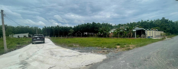Bán đất với diện tích chuẩn 187m2 vị trí đặt tọa lạc tại Đường 22B, Tây Ninh-02
