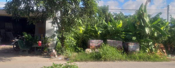 Bán nhà đất, lộ ô tô, gần trường, chợ, ấp 5, xã Khánh Hoà, huyện U Minh, tỉnh Cà Mau-02