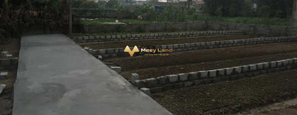 Giá sang tên chỉ 400 triệu bán đất có tổng dt 42 m2 vị trí mặt tiền ngay ở Hồng Vân, Thường Tín-03