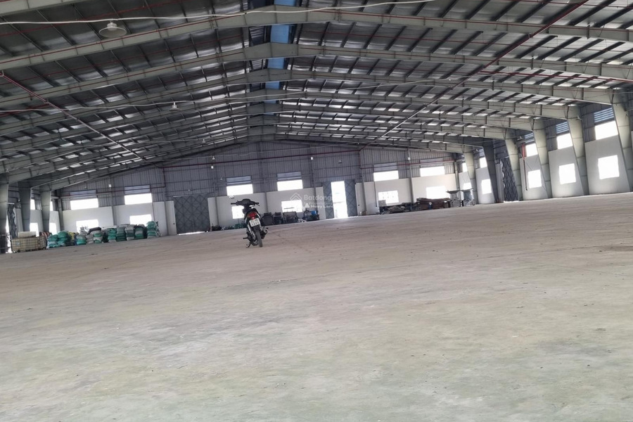 Vị trí thuận lợi Đường 1, Lợi Bình Nhơn cho thuê kho bãi 6000m2 giá thuê bàn giao 430 triệu/tháng tin chính chủ-01