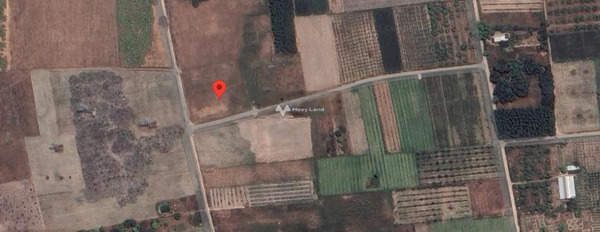 Vị trí mặt tiền tọa lạc trên Cam Thành Nam, Khánh Hòa bán đất, giá cực kì tốt chỉ 3 tỷ, hướng Nam với tổng diện tích 49.9m2-02