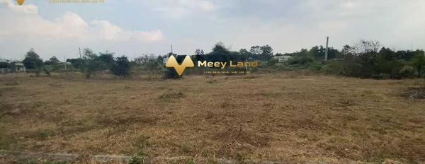 Bán mảnh đất giá 1,45 tỷ, diện tích 100m2 tại Xã Long Phước, Huyện Long Thành-03