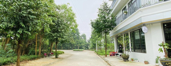 Bán đất tại Đường 21A, Hà Nội. Diện tích 75m2-02