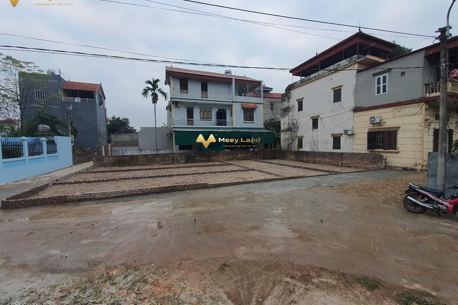 Cần bán đất tại xã Nam Hồng, Đông Anh, Hà Nội. Diện tích 52m2, giá 1,82 tỷ-01
