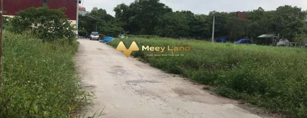 Vị trí thuận tiện Trưng Trắc, Hưng Yên bán đất với dt 95 m2-03