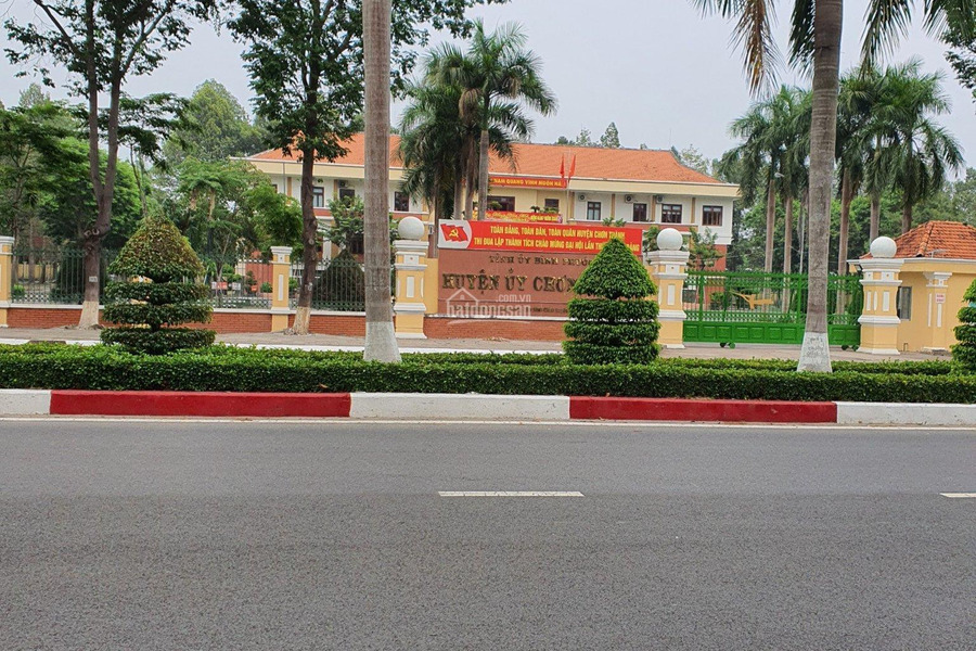 Bán gấp đất mặt tiền Nguyễn Văn Linh, khu công nghiệp Becamex Chơn Thành, Bình Phước-01
