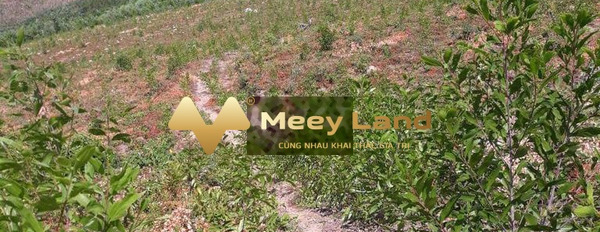 Khoảng 500 triệu bán đất Diện tích đất 14 m2 vị trí thuận tiện ngay tại Huyện Vân Canh, Tỉnh Bình Định-02