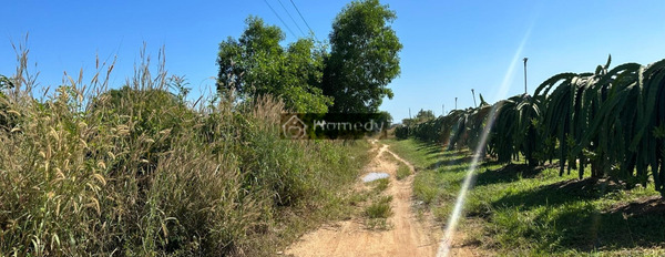 Ở Mai Thúc Loan, Bình Thuận bán đất 4.5 tỷ có diện tích chính 5749m2-02