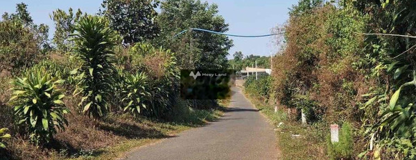 Cắt lỗ 50% Nền đất thổ cư ngộp Tại Lộc Đức Huyện Bảo Lâm -03