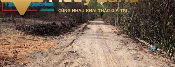 Cần tiền mặt bán đất Phan Thiết, Tỉnh Bình Thuận giá bán siêu mềm 1.2 tỷ dt rộng là 1500 m2-03