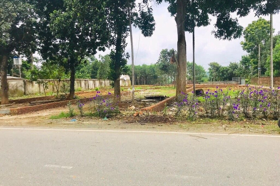 Phú Mãn, Hà Nội bán đất giá rẻ 18.5 triệu có diện tích tổng là 195m2-01