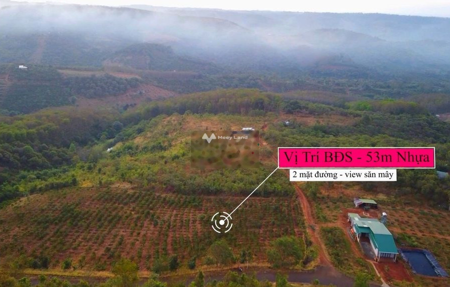 Bán đất 954 triệu Cà Mau, Đắk Nông diện tích trong khoảng 2620m2-01