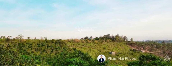 Bảo Lộc, Lâm Đồng 2.4 tỷ bán đất với diện tích tiêu chuẩn 805m2-03
