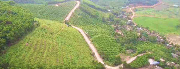 Vị trí ngay ở Kim Lập, Hòa Bình bán đất giá công khai chỉ 5 tỷ diện tích dài 23000m2-02