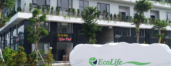 Bất động sản căn hộ đang là xu thế dẫn đầu tại Bình Định, Quy Nhơn-03