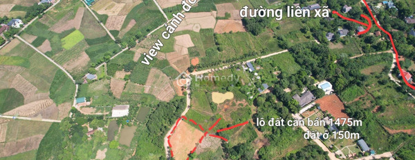 Bán đất mặt tiền nằm ngay tại Lương Sơn, Hòa Bình. Diện tích 5743m2-03