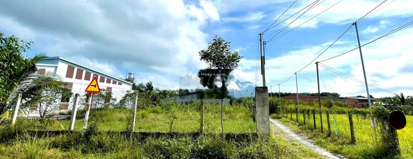 Tại Bời Lời, Ninh Sơn bán đất 900 triệu có một diện tích 150m2-03