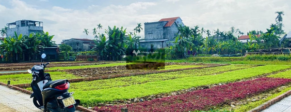 Khoảng 900 triệu bán đất với diện tích 150m2 vị trí đặt tọa lạc ngay ở Nguyễn Tất Thành, Đại Lộc-02
