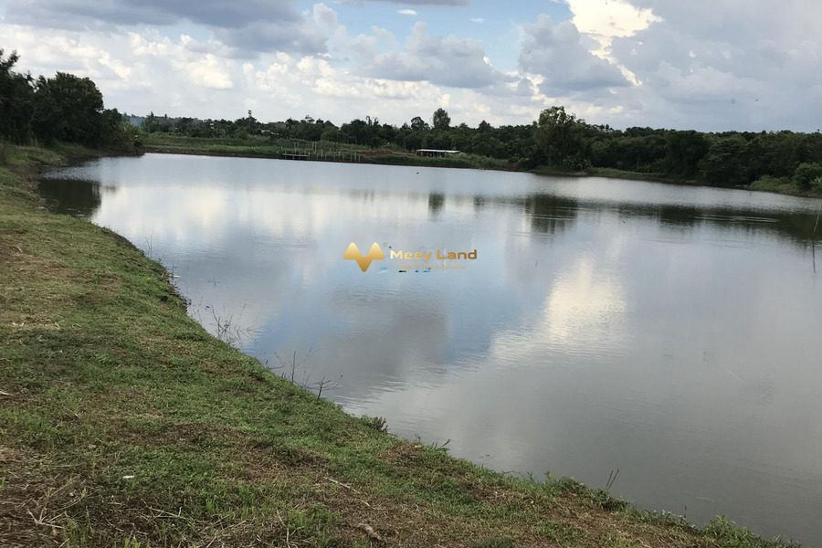 Cần tiền đầu tư nên bán miếng đất sát hồ ở Cư Kuin, Đắk Lắk-01