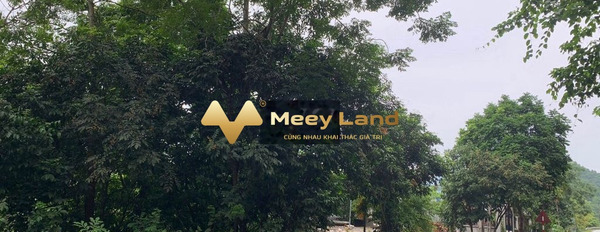 Bán đất 500 triệu Lê Anh Xuân, Lương Sơn có dt trung bình 247 m2-03