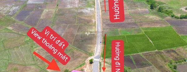 Tỉnh Lộ 8, Khánh Hòa bán đất giá bàn giao 220 triệu diện tích quy đổi 133m2-03