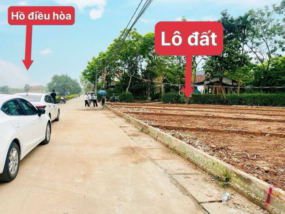 Bán đất huyện Yên Lạc tỉnh Vĩnh Phúc giá 800.0 triệu-0