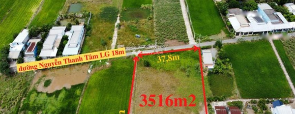 Cần bán gấp bán nhanh đất dự án 3516m2 tại huyện Cần Giuộc, Long An, giá 8,44 tỷ-03