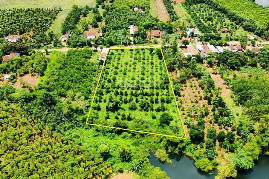 Giá siêu rẻ từ 1.63 tỷ bán đất với diện tích là 5424m2 vị trí cực kì thuận lợi ngay tại Sông Hinh, Phú Yên-01