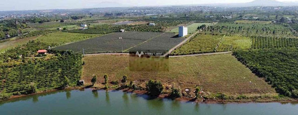 Lam Sơn, Lâm Đồng bán đất giá bán tốt nhất chỉ 4.8 tỷ diện tích vừa phải 1100m2-02