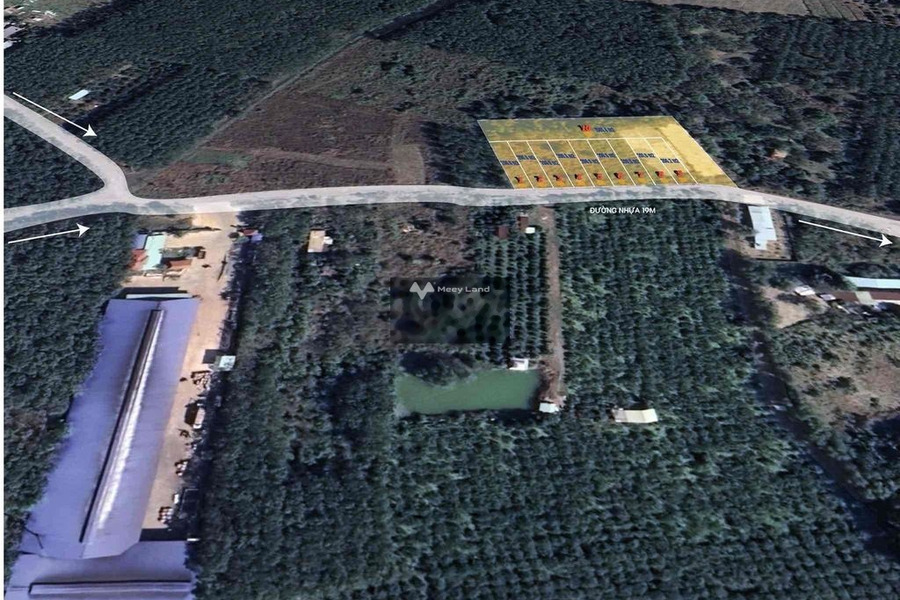 Nằm tại Tân Hưng, Bình Phước bán đất 495 triệu có diện tích thực là 400m2-01