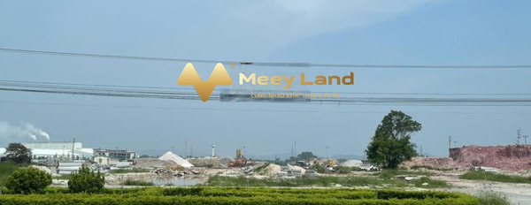 Cần bán đất sát cạnh khu công nghiệp Cộng Hòa, Chí Linh-03